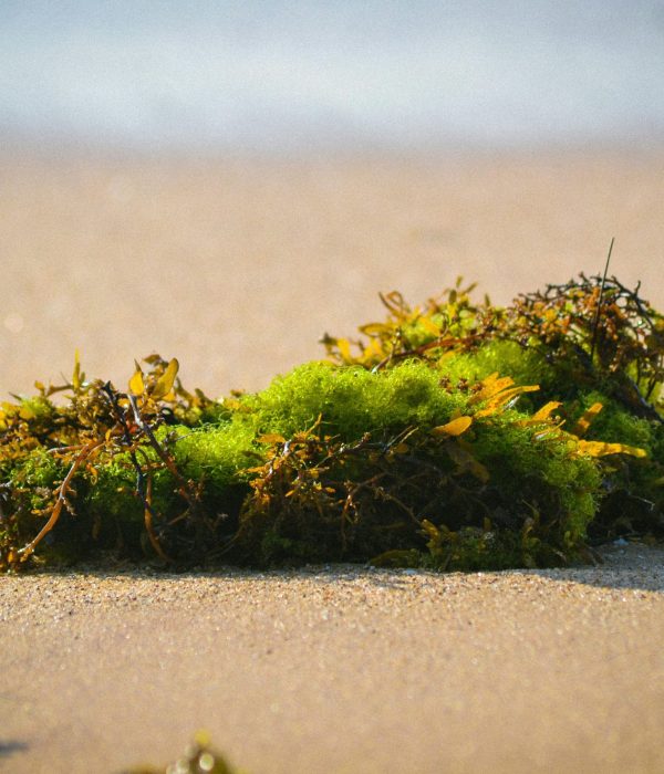 joe-1DtXxMPRftE-unsplash
